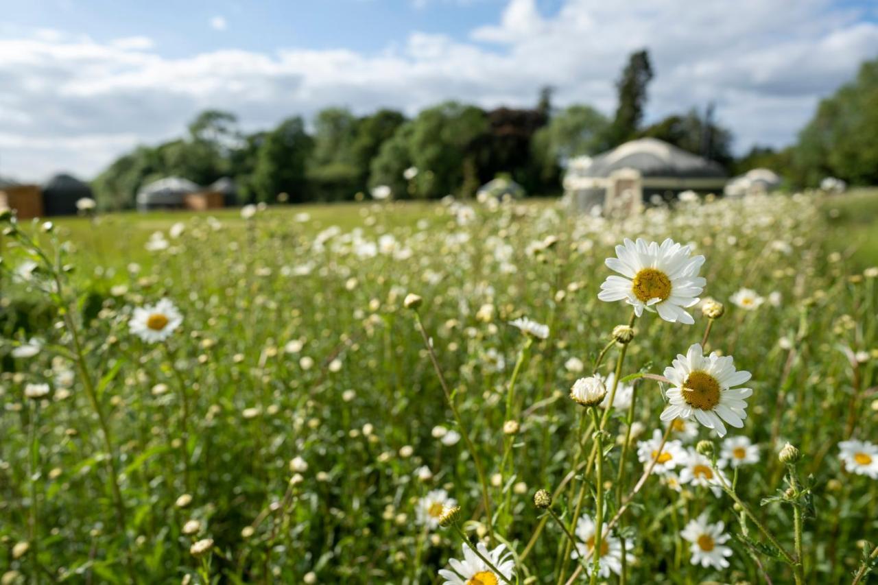 Wild Meadow, Lodge Farm, East Raynham Fakenham Exterior photo